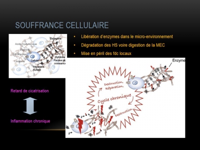 Thérapie matricielle Agent de régénération tissulaire - B.CHASSANG et C.GRANIER / CH Le Puy-en-Velay (COHF 2014)